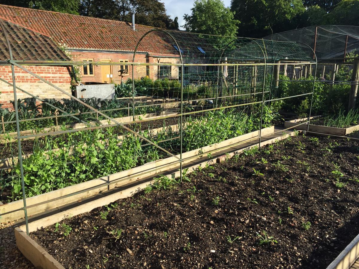 Chippenham Park Garden Rooms Экстерьер фото